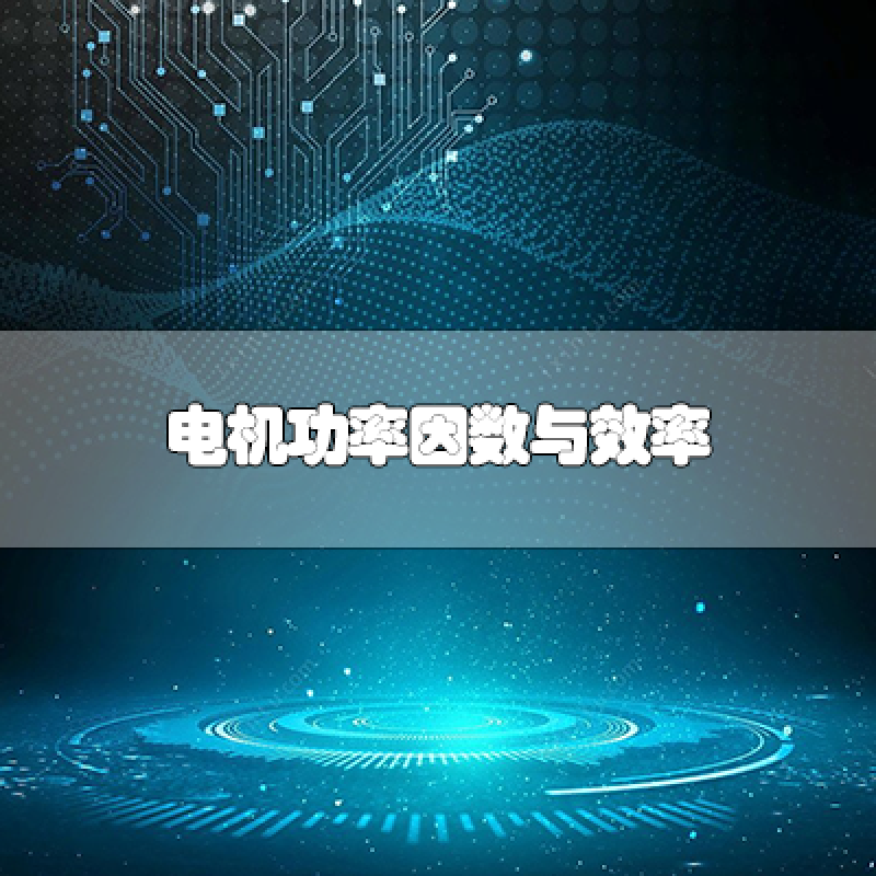 電機(jī)功率因數(shù)與效率